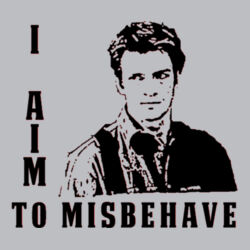 No.2 I Aim to Misbehave - HeavyBlend™ adult hooded sweatshirt Design