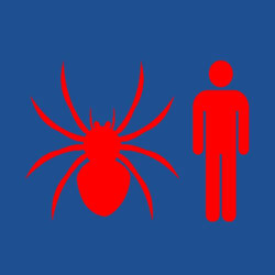 Spider Man - Heavy Cotton 100% Cotton T Shirt Design