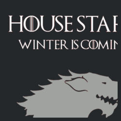 House Stark - HeavyBlend™ adult hooded sweatshirt Design