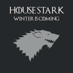 House Stark - Heavy Cotton 100% Cotton T Shirt Design