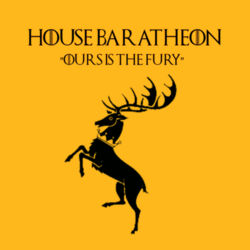 House Baratheon - Heavyweight blend youth hooded sweatshirt Design