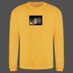 AWDis sweatshirt. Thumbnail